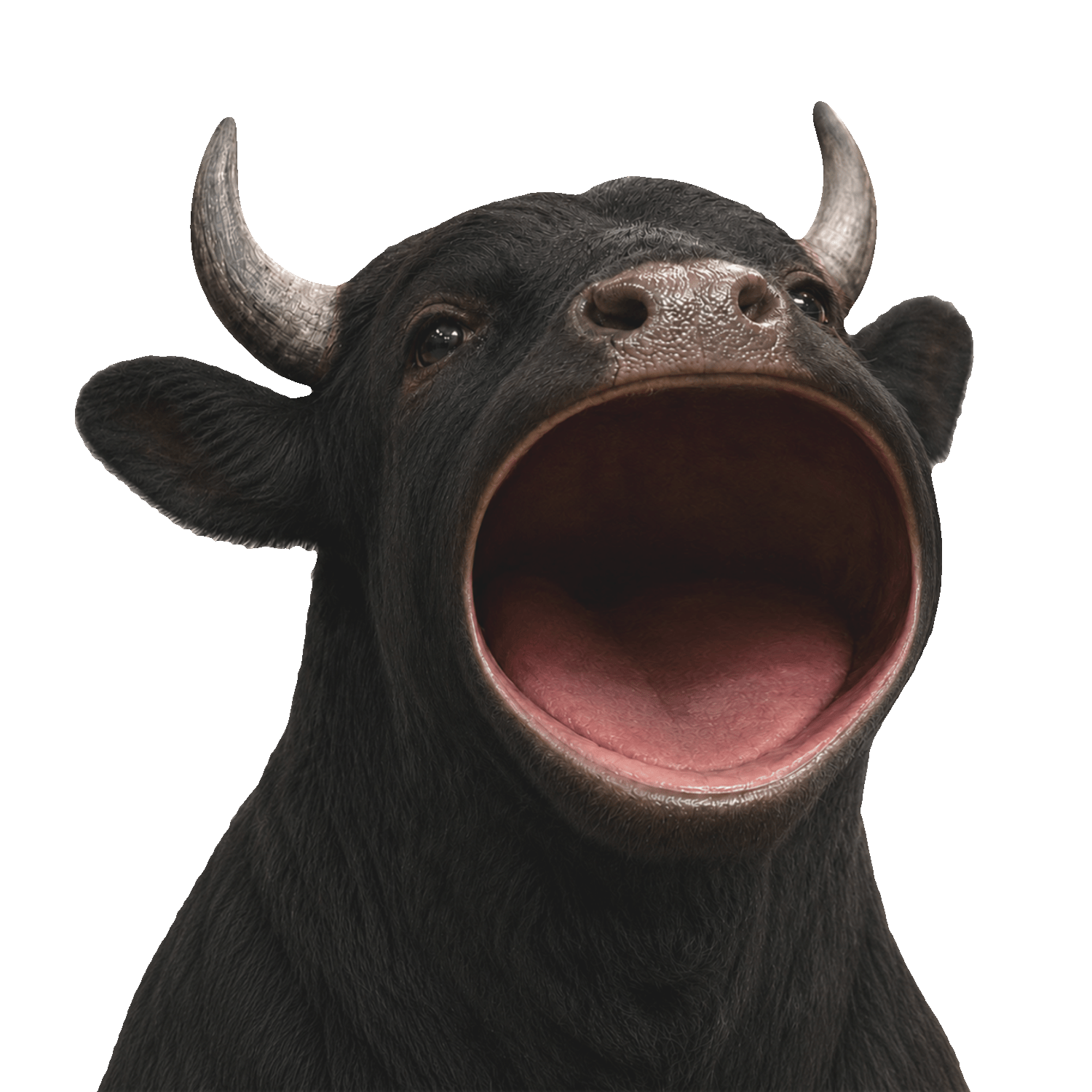POPBULL mascot — a black bull with a huge open mouth
